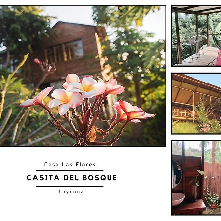 Villa La Casita Del Bosque Santa Marta  Exterior foto