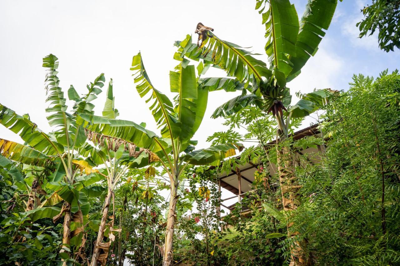 Villa La Casita Del Bosque Santa Marta  Exterior foto