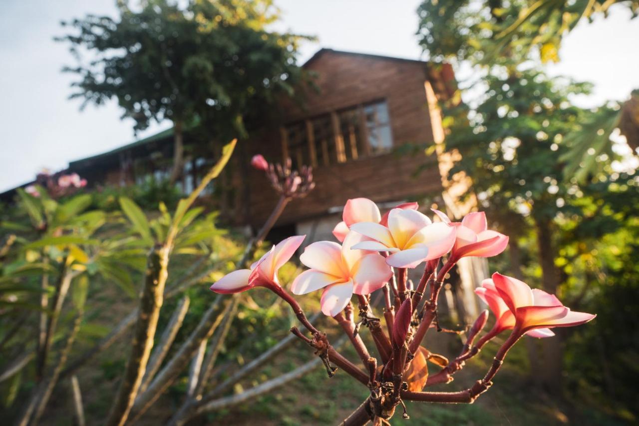 Villa La Casita Del Bosque Santa Marta  Exterior foto