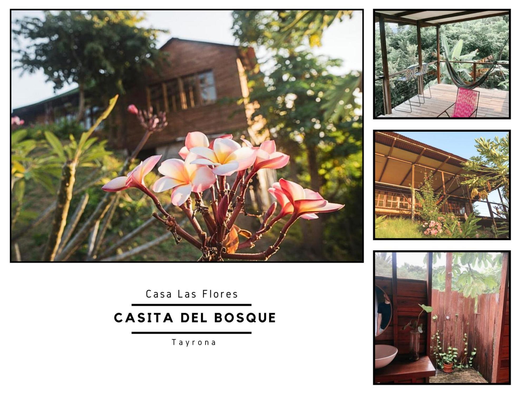 Villa La Casita Del Bosque Santa Marta  Exterior foto