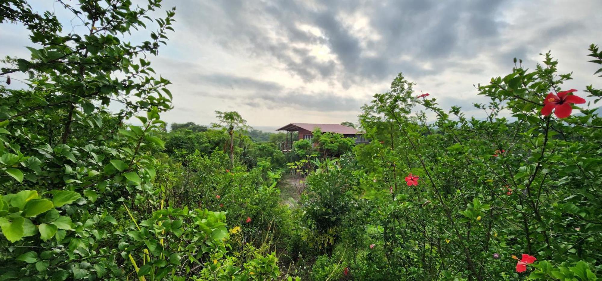 Villa La Casita Del Bosque Santa Marta  Exterior foto