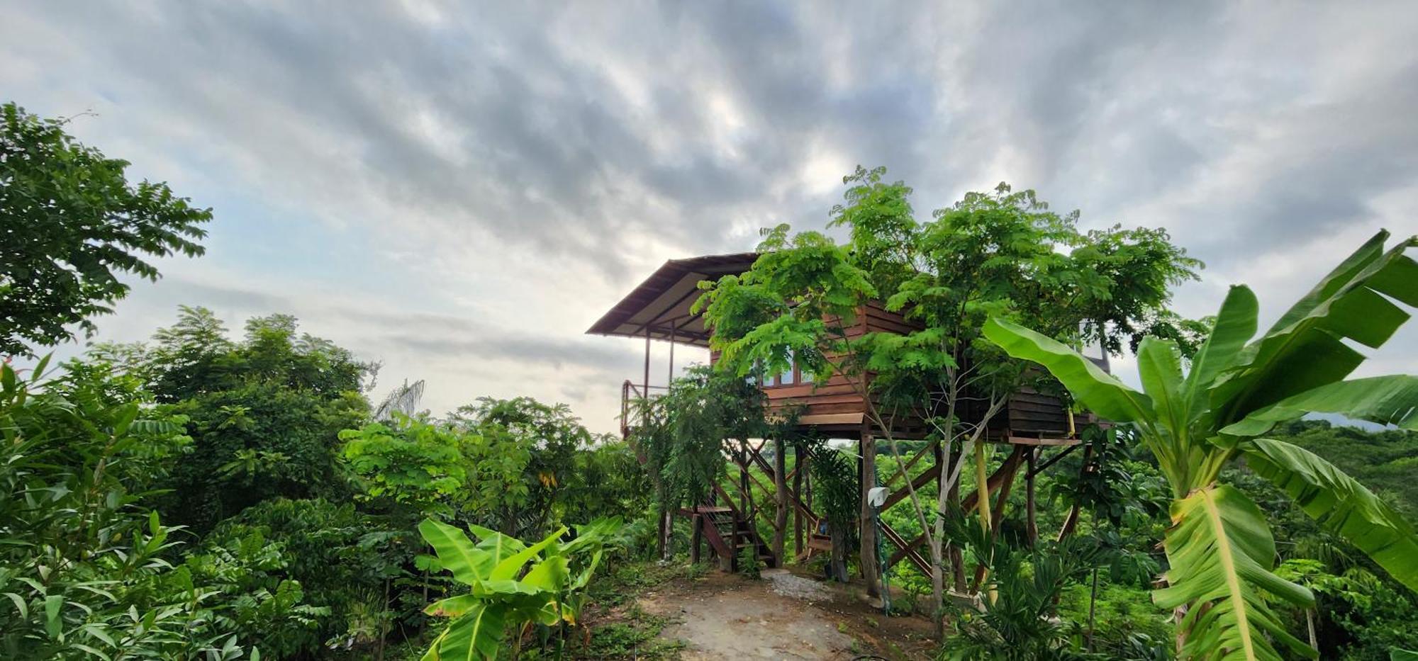 Villa La Casita Del Bosque Santa Marta  Exterior foto